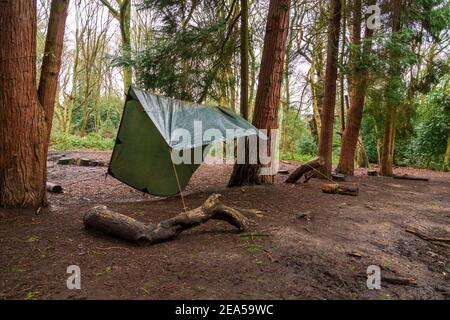 Eine Plane (Plane) Schutzzelt an einer Waldschule auch als Pfadfinder wild Camping-Bereich in lokalen Wäldern verwendet. London. VEREINIGTES KÖNIGREICH. Stockfoto