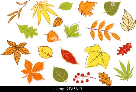 Farbenfrohe Herbstblätter und Pflanzen auf weißem Hintergrund isoliert Für saisonales Design Stock Vektor