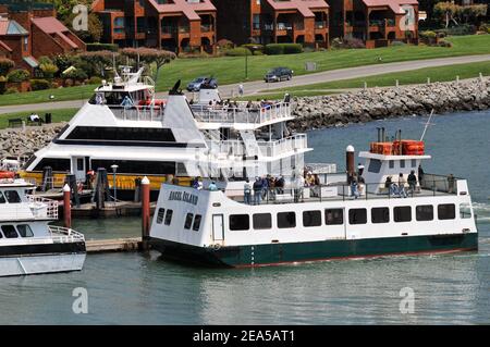 Fähren dockten am Fährterminal, Tiburon, Marin County, Kalifornien Stockfoto