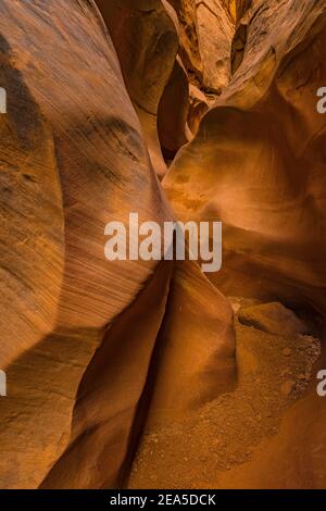 Navajo Sandsteinformationen der Narrows im Little Wild Horse Canyon im San Rafael Swell, Süd-Utah, USA Stockfoto