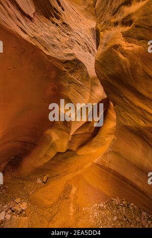 Navajo Sandsteinformationen der Narrows im Little Wild Horse Canyon im San Rafael Swell, Süd-Utah, USA Stockfoto