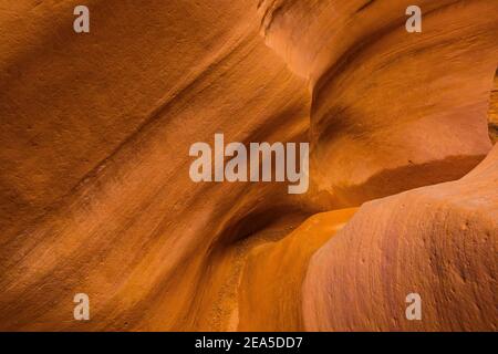 Navajo Sandsteinformationen der Narrows im Little Wild Horse Canyon im San Rafael Swell, Süd-Utah, USA Stockfoto