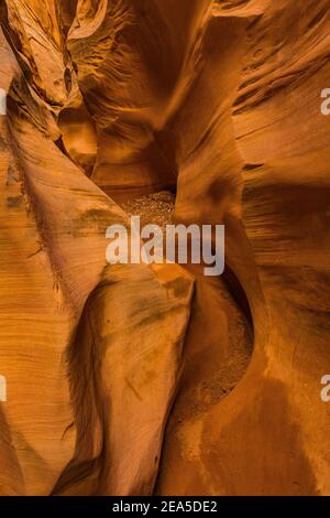 Navajo Sandsteinformationen der Narrows im Little Wild Horse Canyon im San Rafael Swell, Süd-Utah, USA Stockfoto