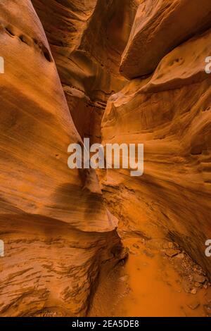 Navajo Sandsteinformationen der Narrows im Little Wild Horse Canyon im San Rafael Swell, Süd-Utah, USA Stockfoto