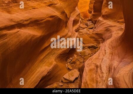 Navajo Sandsteinformationen der Narrows im Little Wild Horse Canyon im San Rafael Swell, Süd-Utah, USA Stockfoto