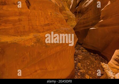 Navajo Sandsteinformationen der Narrows im Little Wild Horse Canyon im San Rafael Swell, Süd-Utah, USA Stockfoto