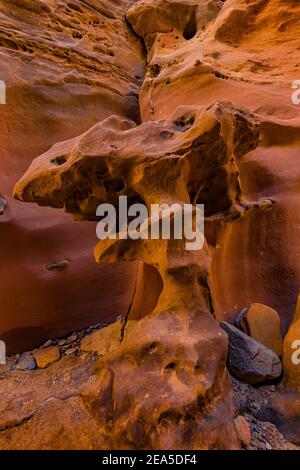 Navajo Sandsteinformationen der Narrows im Little Wild Horse Canyon im San Rafael Swell, Süd-Utah, USA Stockfoto