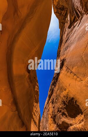 Navajo Sandsteinformationen der Narrows im Little Wild Horse Canyon im San Rafael Swell, Süd-Utah, USA Stockfoto