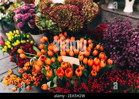 Verschiedene Blumen in einem Schaufenster mit leerem Preis tags Stockfoto