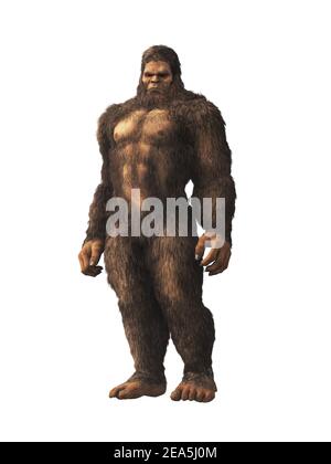 Der geheimnisvolle bigfoot, eine Kreatur der Folklore und Legende, und die beliebteste Kryptide Nordamerikas, steht vor einem weißen Hintergrund. Stockfoto