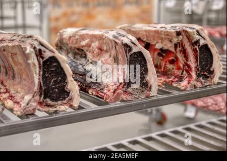 Große Stücke von Rinderrippen. Der Prozess der Gärung von Fleisch in der Fabrik. Stockfoto