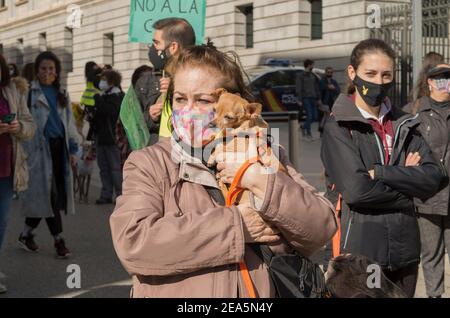 Madrid, Spanien. Februar 2021, 07th. Demonstration vor dem Kongress der Abgeordneten durch Plataforma NAC. „No a la caza“ (kein Jagen) Er kämpft gegen die Jagd in all ihren Formen und hat das unmittelbare Ziel, die Jagd mit Windhunden und anderen Rassen zu beenden. (Foto von Alberto Sibaja/Pacific Press) Quelle: Pacific Press Media Production Corp./Alamy Live News Stockfoto