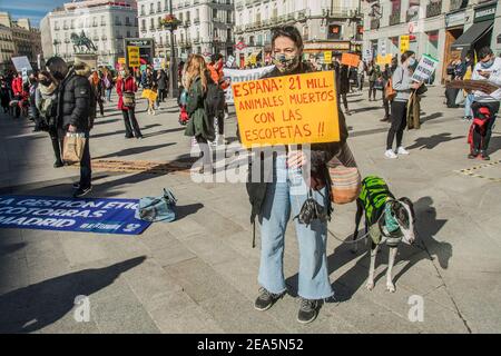 Madrid, Spanien. Februar 2021, 07th. Demonstration vor dem Kongress der Abgeordneten durch Plataforma NAC. „No a la caza“ (kein Jagen) Er kämpft gegen die Jagd in all ihren Formen und hat das unmittelbare Ziel, die Jagd mit Windhunden und anderen Rassen zu beenden. (Foto von Alberto Sibaja/Pacific Press) Quelle: Pacific Press Media Production Corp./Alamy Live News Stockfoto