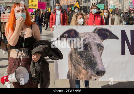 Madrid, Spanien. Februar 2021, 07th. Demonstration vor dem Kongress der Abgeordneten durch Plataforma NAC. „No a la caza“ (kein Jagen) Er kämpft gegen die Jagd in all ihren Formen und hat das unmittelbare Ziel, die Jagd mit Windhunden und anderen Rassen zu beenden. (Foto von Alberto Sibaja/Pacific Press) Quelle: Pacific Press Media Production Corp./Alamy Live News Stockfoto