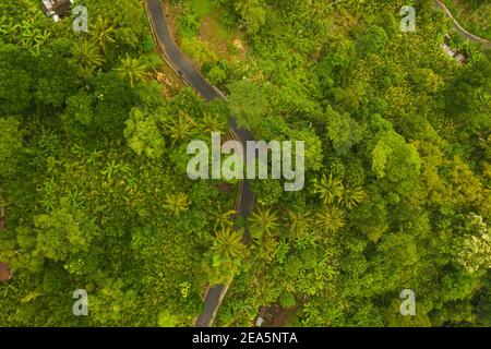 Von oben nach unten über die Luftaufnahme der Asphaltstraße, die durch führt Üppig grüner Dschungel gebogene Landstraße durch den Regenwald Stockfoto