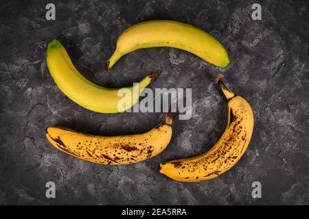 Vergleich von reifen Bananen mit schwarzen Flecken und leicht grün Bananen auf schwarzem Hintergrund Stockfoto