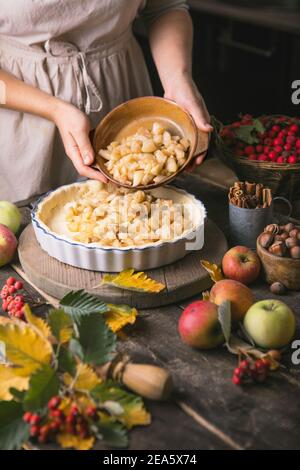 Hausgemachter Apfelkuchen, umgeben von roten Äpfeln Stockfoto