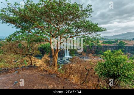 Blaue Nil Wasserfälle in der Trockenzeit. Fallen Sie auf den Blauen Nil. Natur und Reiseziel. Äthiopien Wildnis, Amhara Region, in der Nähe Bahir dar und Stockfoto