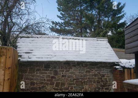 Schiefer Fliesendach mit Schnee bedeckt mit einer Kiefer im Hintergrund in einem Country Cottage Garten in Rural Devon, England, Großbritannien Stockfoto
