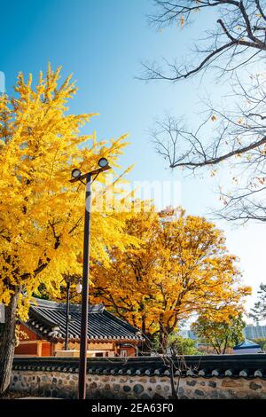 Yeongnamnu traditioneller koreanischer Pavillon im Herbst in Miryang, Korea Stockfoto