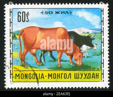 MONGOLEI - UM 1971: Stempel gedruckt von der Mongolei, zeigt mongolische Viehzucht, Rinder, um 1971 Stockfoto