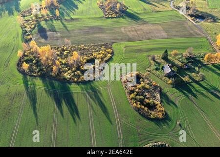 Herbstlandschaft mit Feldern, Hainen und altem Gehöft, Luftaufnahme Stockfoto