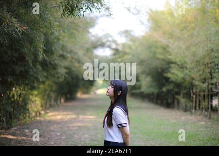 Portrait von schönen asiatischen japanischen High School Mädchen Uniform suchen Mit Bambus Wald Hintergrund Stockfoto