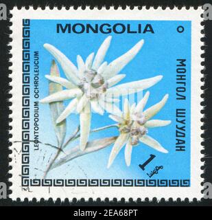 MONGOLEI - UM 1979: Stempel gedruckt von Mongolei, zeigt Blume, um 1979 Stockfoto