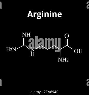 Arginin-Aminosäure. Chemische molekulare Formel Arginin Aminosäure. Vektorgrafik auf isoliertem Hintergrund Stock Vektor
