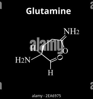 Die Aminosäure Glutamin. Aminosäure Glutamin chemische molekulare Formel. Vektorgrafik auf isoliertem Hintergrund Stock Vektor