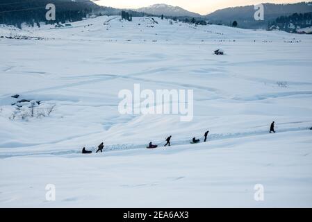 Arbeiter ziehen Schlitten mit den Touristen im berühmten Skigebiet in Gulmarg. Gulmarg ist eine Stadt, eine Bergstation, ein beliebtes Skiziel und ein mitteiltes Gebietskomitee im Baramulla Distrikt Jammu und Kaschmir. Die Stadt liegt in der Pir Panjal Range im westlichen Himalaya und liegt innerhalb der Grenzen des Gulmarg Wildlife Sanctuary. Stockfoto