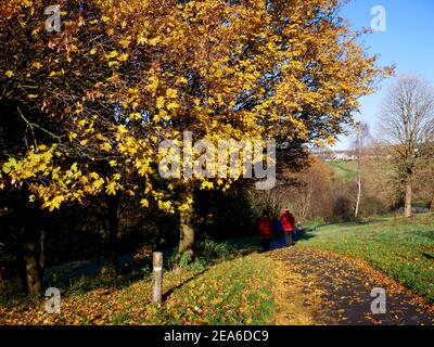 Herbst in Thompson Park, Burnley, Lancashire. Stockfoto