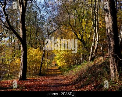 Herbst in Thompson Park, Burnley, Lancashire. Stockfoto