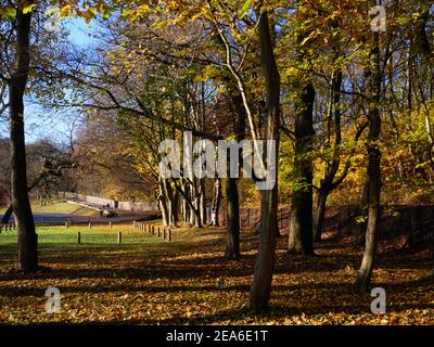 Herbst in Thompson Park, Burnley, Lancashire. Stockfoto