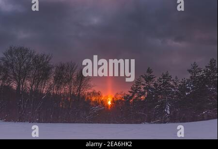 Kalter Sonnenuntergang im Winterwald mit Sonnensäule Stockfoto