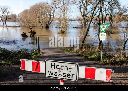 Hochwasser auf dem Rhein im Süden von Düsseldorf in Das Gebiet der Bezirke Benrath und Urdenbach Stockfoto