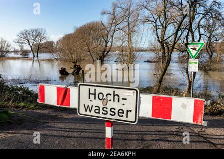 Hochwasser auf dem Rhein im Süden von Düsseldorf in Das Gebiet der Bezirke Benrath und Urdenbach Stockfoto