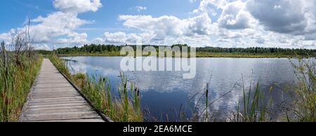 Holzsteg im Moor Schwenninger Moos bei Villingen-Schwenningen, Deutschland Stockfoto