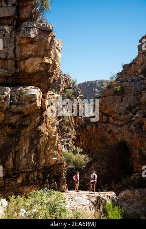 Wandern auf dem Leopard Trail, Baviaanskloof, Südafrika Stockfoto