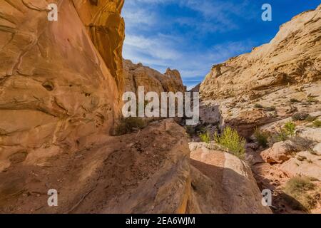 Navajo Sandsteinformationen der Narrows im Little Wild Horse Canyon im San Rafael Swell, Süd-Utah, USA Stockfoto