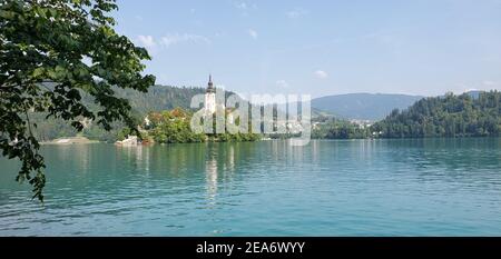 Blejski Grad in slowenien (Burg Bled) Stockfoto