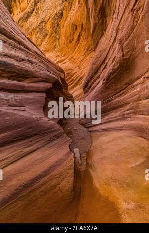 Navajo Sandsteinformationen der Narrows im Little Wild Horse Canyon im San Rafael Swell, Süd-Utah, USA Stockfoto