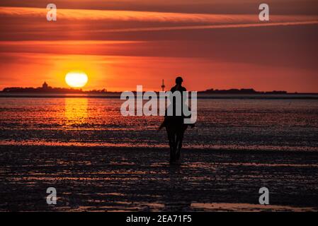 Person auf einem Pferd im Watt von Cuxhaven bei Sonnenuntergang mit Insel Neuwerk im Hintergrund Stockfoto