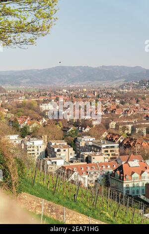 Vertikale Aufnahme des Stadtbildes Freiburg im Breisgau mit typisch Wohngebäude Stockfoto