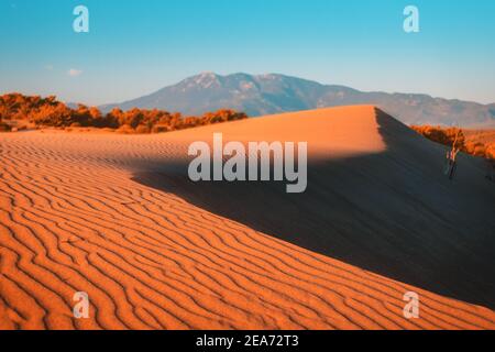 Majestätische Aussicht auf orangefarbene Sanddünen und Hügel leuchten in den Strahlen des warmen Sonnenuntergangs in einem tropischen Land. Büsche und ferne Berge im Hintergrund Stockfoto