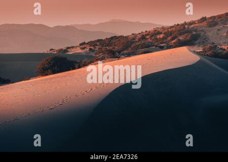 Majestätische Aussicht auf orangefarbene Sanddünen und Hügel leuchten in den Strahlen des warmen Sonnenuntergangs in einem tropischen Land. Büsche und ferne Berge im Hintergrund Stockfoto