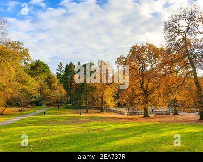 Lickey Hills Country Park im Herbst, Birmingham, West Midlands Stockfoto