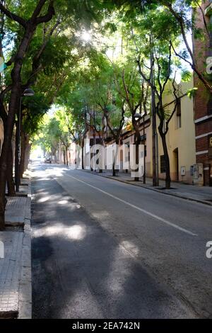 Molins de Rei, Spanien - November 2018: Sonnenlicht scheint durch ein Baumdach entlang einer Straße in Molins Spanien, Stockfoto