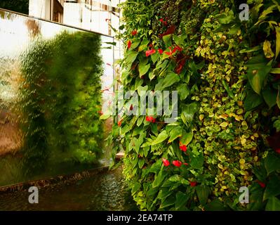 Siam Paragon Gebäude Aufzug Bangkok Thailand Stockfoto