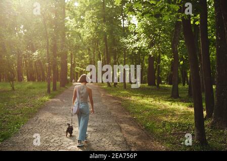 Junge Frau, die im Park mit dem kleinen Hund Yorkshire Terrier spazierengeht. Stockfoto